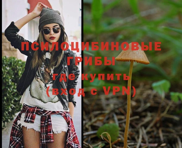 MDMA Premium VHQ Алзамай